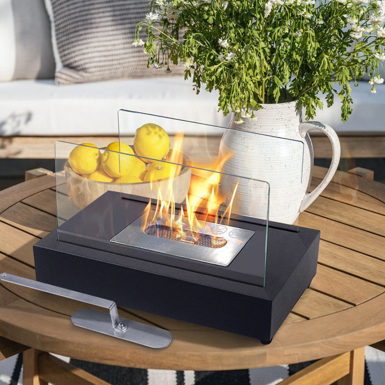 Ivy Bronx Chava Metal BioEthanol Outdoor Tabletop Fireplace with Flame Guard & Reviews